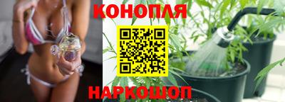 прущие крисы Владикавказ