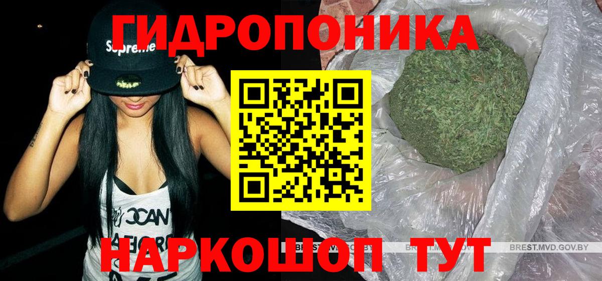 Конопля VHQ  Вход с VPN  Канабис план  Волхов  Канабис тримм 